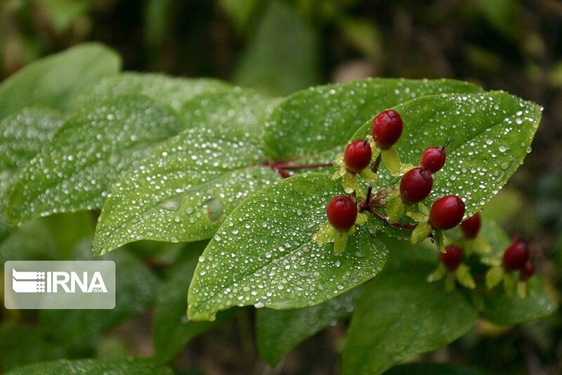 هوای ارومیه ۱۰ درجه خنک‌ می‌شود