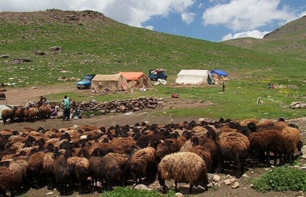اصل ماجرای اختلاف دو طایفه عشایری بر سر مراتع در فارس چیست؟