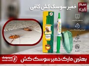 سریع ترین راه از بین بردن سوسک آلمانی