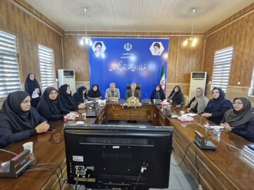 نقش آفرینی بانوان تاکستان در حوزه کارآفرینی قابل تامل است