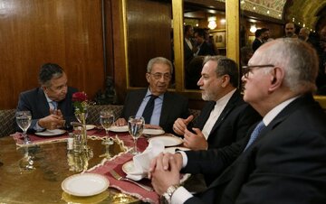 伊朗外交部长：伊朗与埃及的政治合作与互信已达到历史最高水平