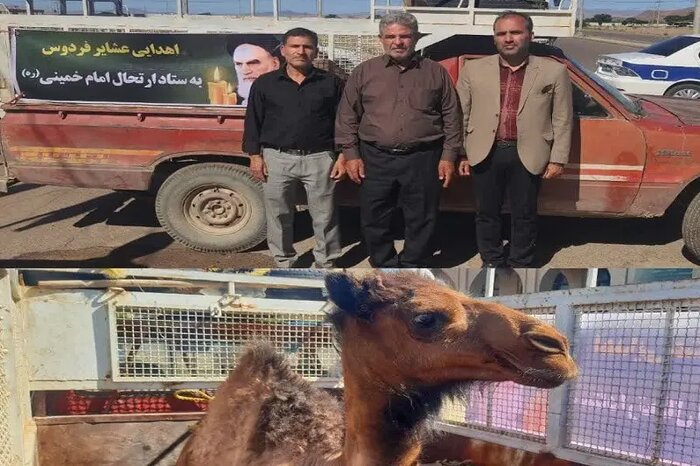 سفر به ساحت نور؛ مسافران جماران در امتداد پیام روح الله