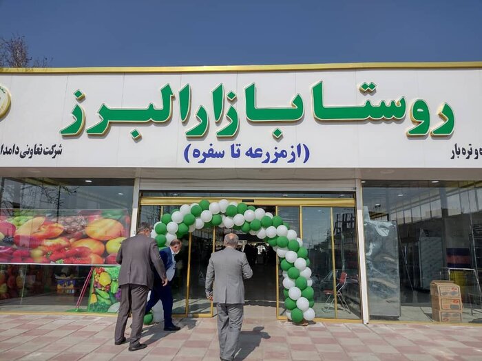 آغاز خرید تضمینی کلزا در البرز /تاکید بر ایجاد روستا بازار