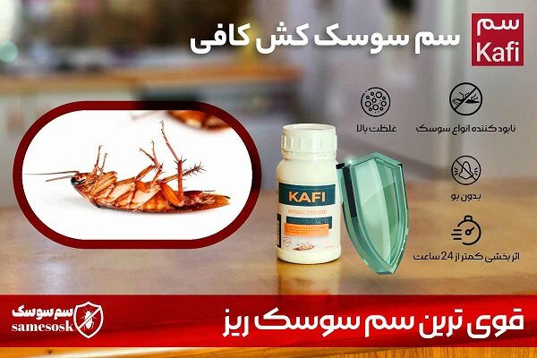 سریع ترین راه از بین بردن سوسک آلمانی