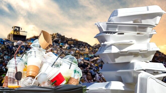 ظروف یکبار مصرف، تهدیدی جدی برای محیط زیست