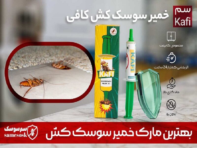 سریع ترین راه از بین بردن سوسک آلمانی