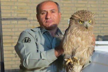 تعقیب قاتل «خائیز»: دادستان یاسوج از هماهنگی‌ بین استانی برای اجرای عدالت خبر داد