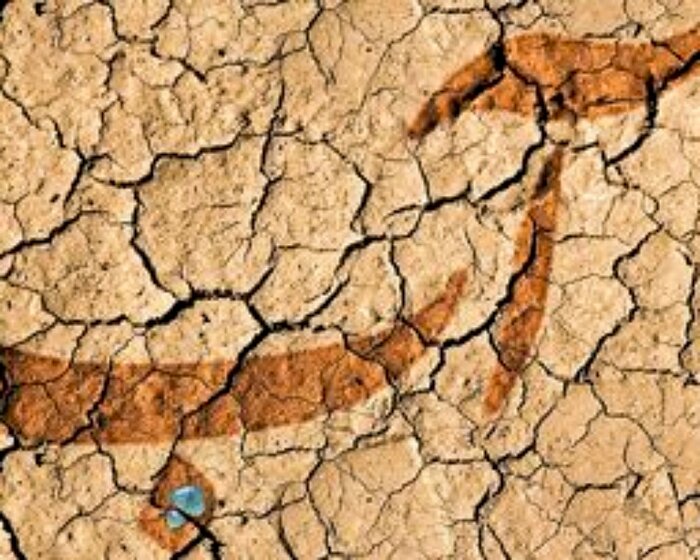 گلخانه‌ و آبیاری نوین؛ نسخه‌های گرمسار برای مقابله با خشکسالی