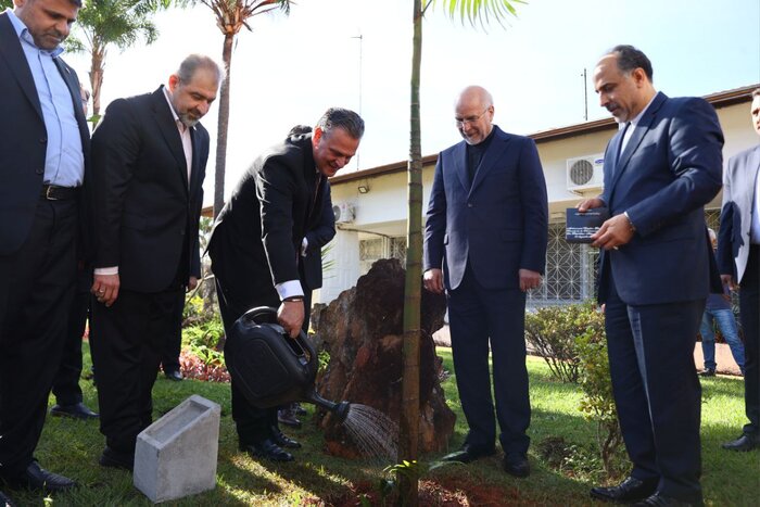 وزیر کشاورزی برزیل با قالیباف دیدارکرد/ کاشت نهال دوستی در سفارت ایران در برازیلیا