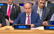 غزہ جنگ بندی کی قرارداد کو امریکی ویٹو خطرناک  رجحان ہے، پاکستان