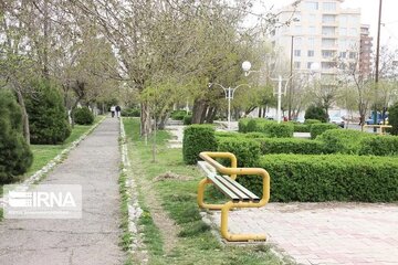 دولت به توسعه فضای سبز شهری در اردبیل کمک کند