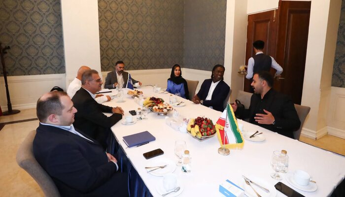 سخنگوی باشگاه استقلال: هیچ گزینهای را مطرح نکردم