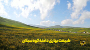 طبیعت بهاری دامنه کوه سبلان