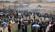 مراكز المساعدات الإنسانية بغزة تتحول إلى مصايد موت