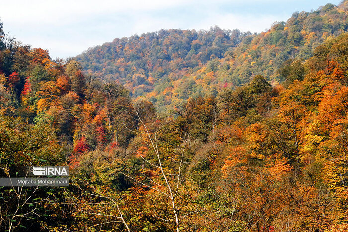 «گلیران» آسفالت نمیخواهد