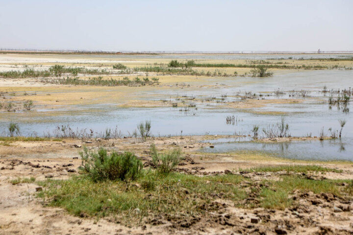 از چالش کمبودهای دارویی تا تکلیف قانونی نظام سلامت برای درآمدزایی از طریق صادرات