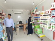طرح پایش واحدهای عرضه آفت‌کش‌های کشاورزی در هرمزگان آغاز شد