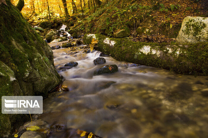 بازگشت شکوه به رودخانههای مازندران
