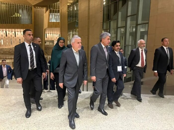صالحی امیری: استراتژی دولت بازگشایی مسیر روابط با مصر است