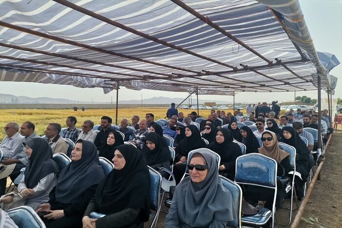 دانش‌بنیان کردن بخش کشاورزی توام با بهره‌وری راهبرد مهم مراکز تحقیقات