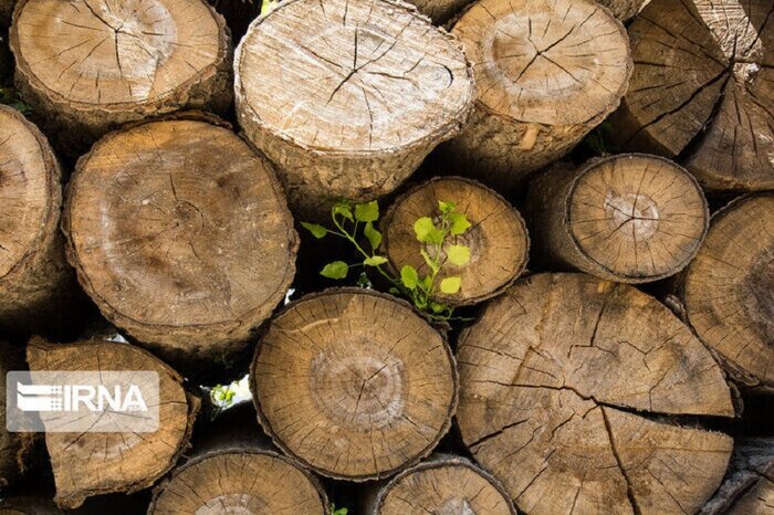 ۲ خودروی لندکروز قاچاق در عباس آباد مازندران کشف شد