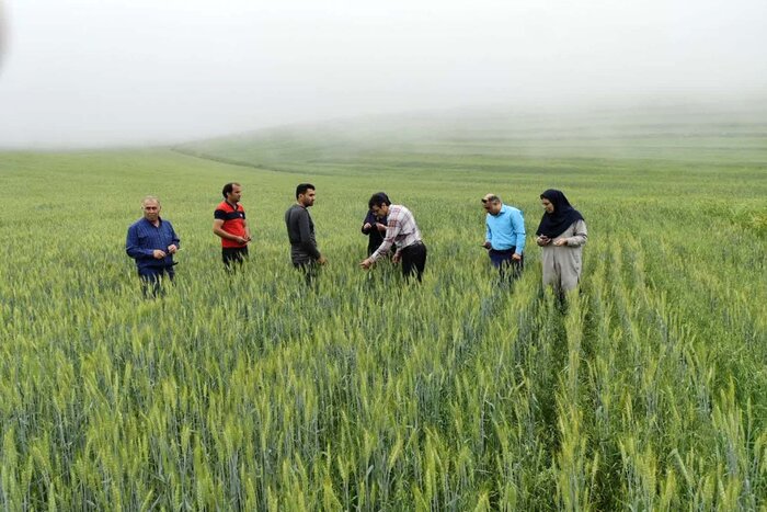 معاون امور اقتصادی استاندار اردبیل: ۸۰ درصد آب استان صرف کشاورزی می‌شود