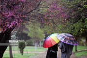 تداوم بارش‌های رگباری در مازندران تا پایان هفته جاری