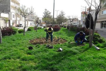 سرانه فضای سبز در اردبیل ۷.۷ مترمربع است