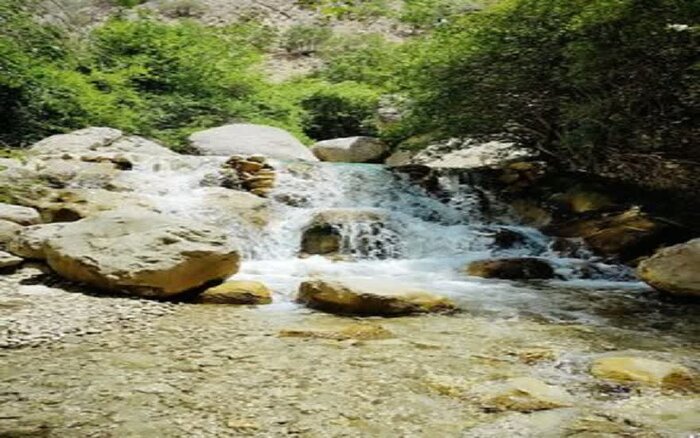 جشنواره انار آغازگر مسیر جهانی شدن «مارین» گچساران