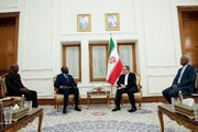 Senegalese, Sierra Leonean envoys meet Araqchi