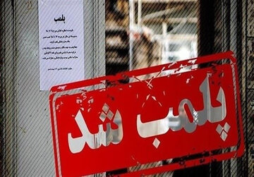 ۱۴ واحد صنفی متخلف در پارس‌آباد پلمب شد