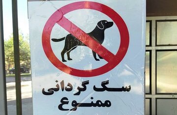 سگ گردانی در زنجان ممنوع شد