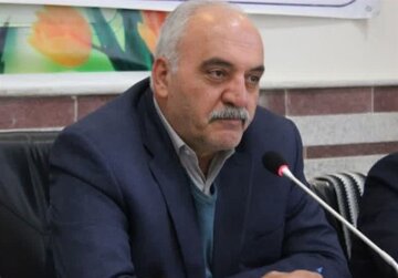 نماینده رزن و درگزین در مجلس: یک جنبه مثبت وزیر پیشنهادی اقتصاد سیاسی نبودن اوست