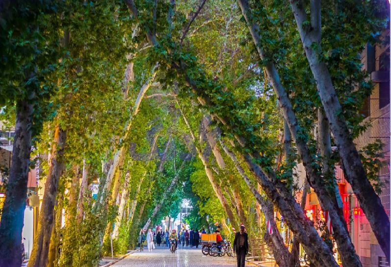 هیچ درختی در هسته مرکزی شهر اصفهان خشک نشده است