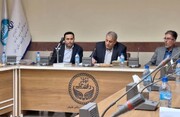 ضرورت بهره گیری از ابزارهای نوین برای عرضه فرش نفیس البرز