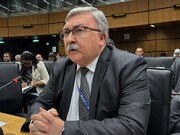 Rusiya nümayəndəsi: TROYKA-nın “Maşa mexanizm” təhdidi alovla oynamaqdır / İranın nüvə məsələsi siyasi yolla həll olunmalıdır