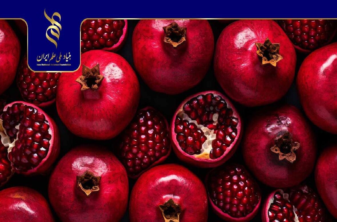 ارزیابی قابلیت انبارمانی انار ایران در دمای سرد