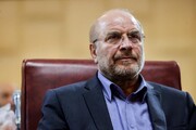 Anti-Iran resolution proves cooperation with I.A.E.A. is futile: Parliament speaker