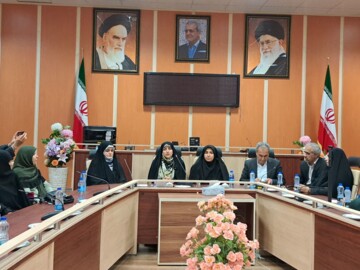 تلاش دولت بازگشت آرامش به زندگی آسیب‌دیدگان حادثه اسکله شهید رجایی است