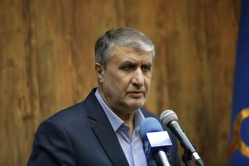 İslami: İran’a yönelik kurul kararının arkasında Tahran'dan taviz alma çabası var