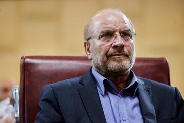 Anti-Iran resolution proves cooperation with I.A.E.A. is futile: Parliament speaker