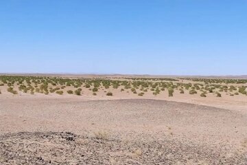 خراسان جنوبی از بحران بیابان‌زایی تا فرصت احیای سرزمین