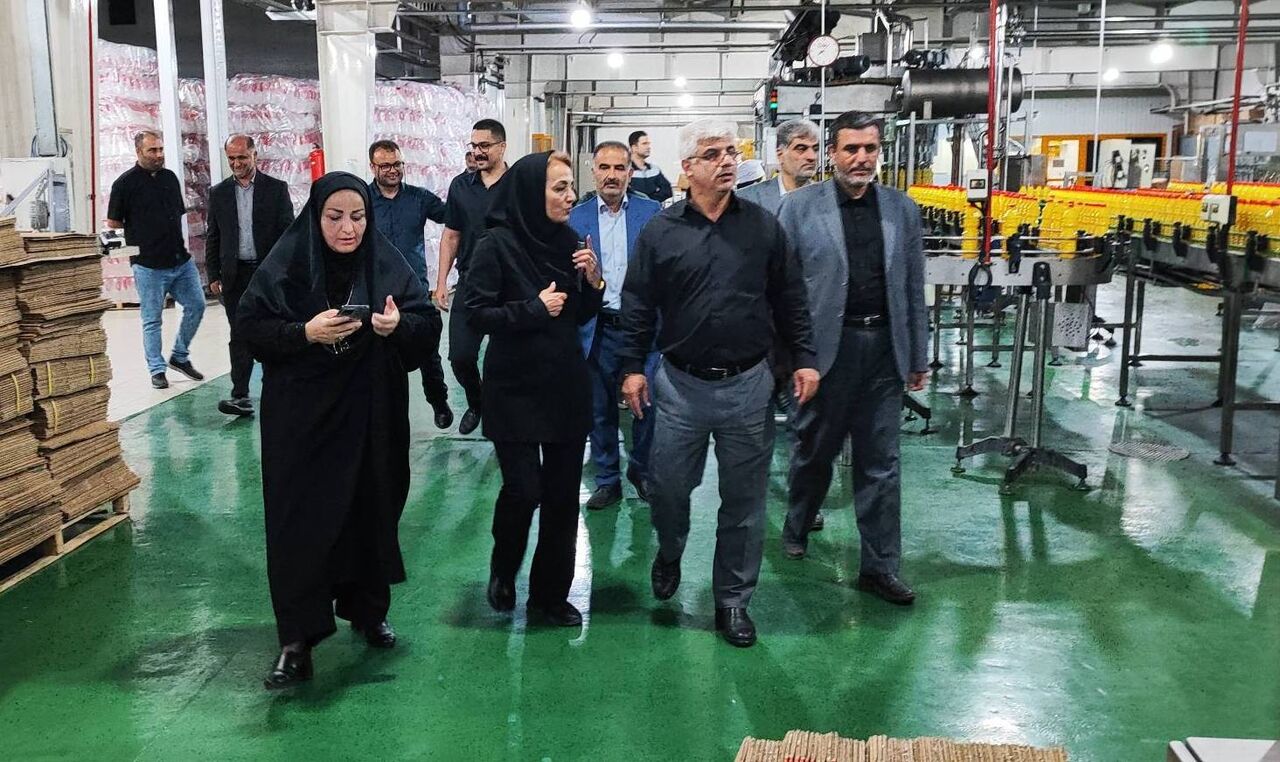 معاون استاندار گلستان: واحدهای تولیدی استان با همه ظرفیت مشغول فعالیت هستند