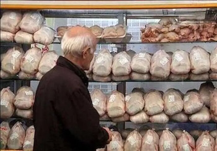 رئیس اتاق اصناف رشت: نظارت بر توزیع و فروش مرغ افزایش مییابد