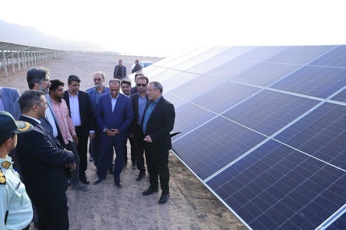 یک واحد گلخانه در سربیشه به بهرهبرداری رسید