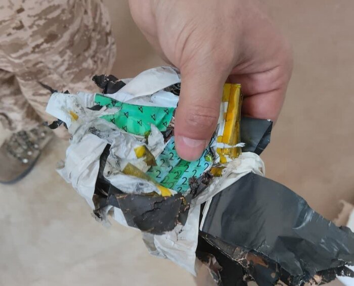 دهها ریزپرنده متجاوز در قم سرنگون شد