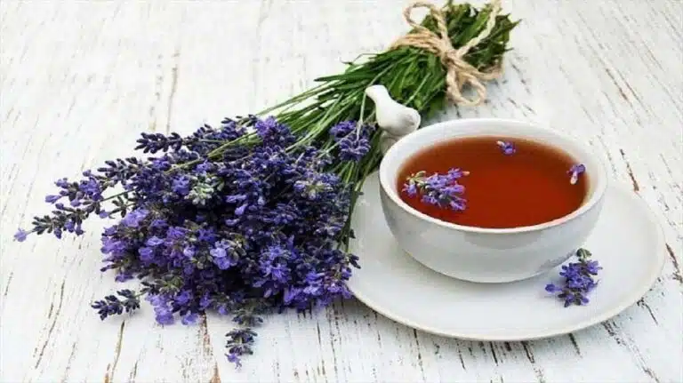 آرامبخشهایی که در زمان بحران از شما محافظت میکنند