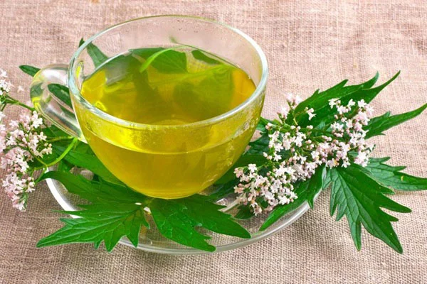 آرامبخشهایی که در زمان بحران از شما محافظت میکنند