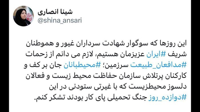 انصاری: تلاش مدافعان طبیعت در ۱۲ روز جنگ ستودنی بود