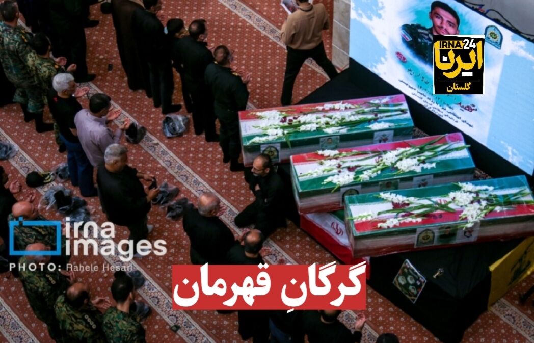 فیلم|گرگانِ قهرمان
